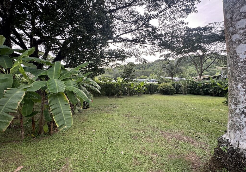 5LoteChile